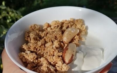 Iogurte com Granola e Castanha do Brasil